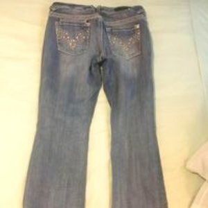 Vigoss womens sz 31X32